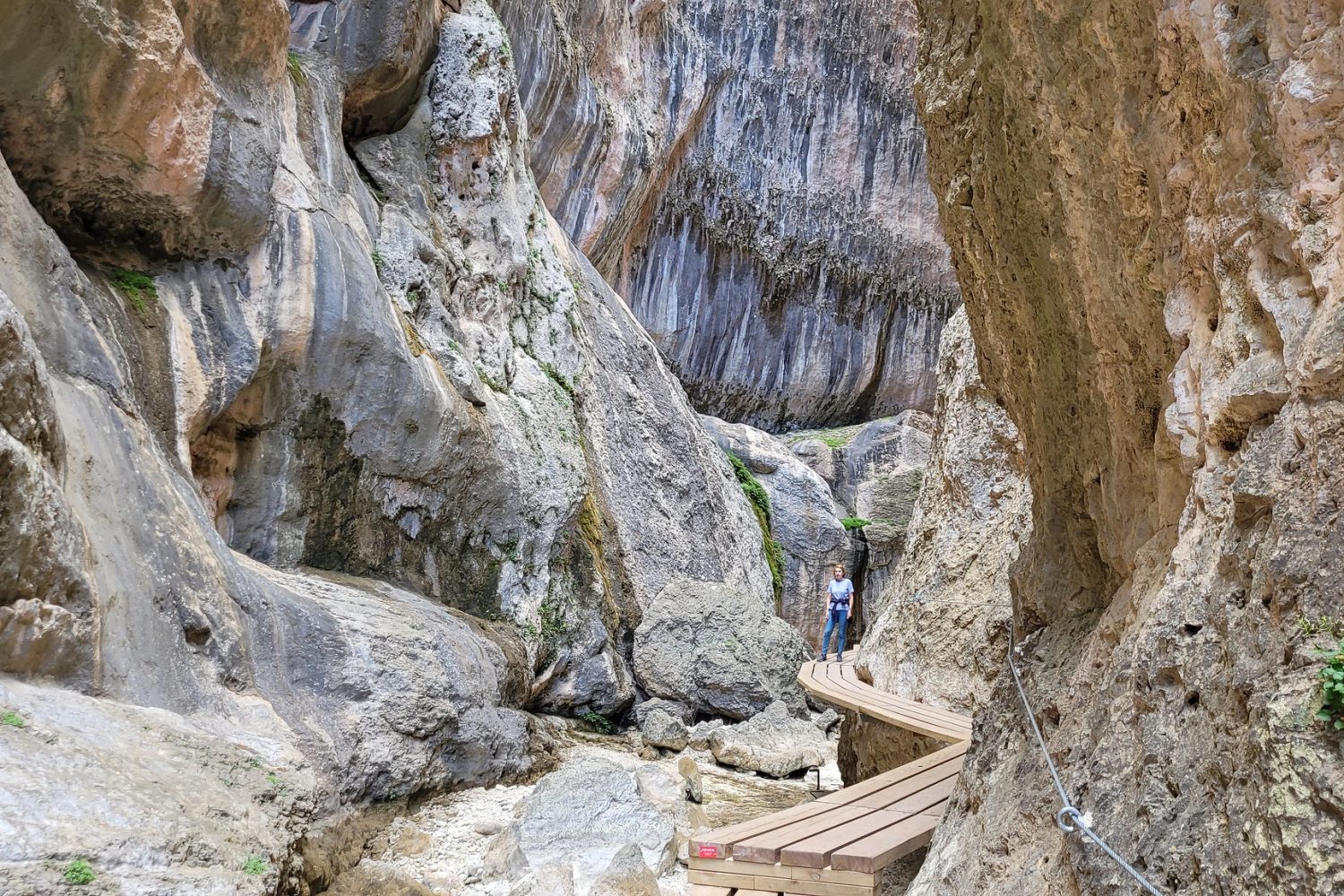 53787627370_bd8e30bcfe_k – copia